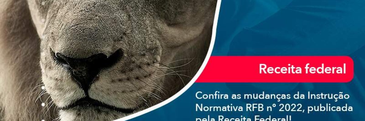 Confira As Mudancas Da Instrucao Normativa Rfb N 2022 Publicada Pela Receita Federal - Quero montar uma empresa