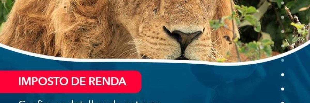 Confira Os Detalhes Da Entrega Da Declaracao Do Irpf 2021 E O Que Voce Precisa Saber Sobre (1) - Quero montar uma empresa