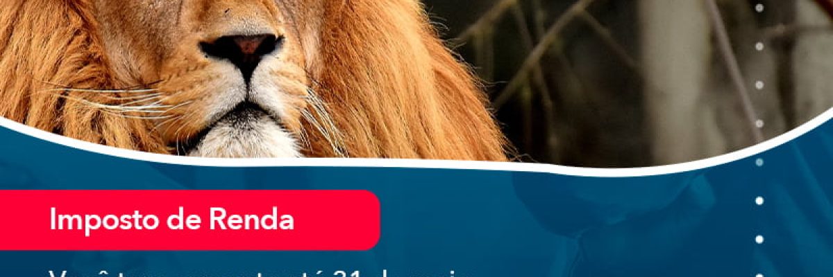 Voce Tem Somente Ate 31 De Maio Para Entrega Da Declaracao De Ir Saiba Como Nao Cair Na Malha Fina (1) - Quero montar uma empresa